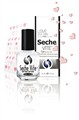 SecheVite_Valentine2010-promo.jpg